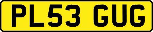 PL53GUG