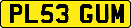PL53GUM