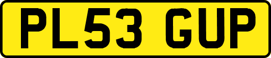 PL53GUP