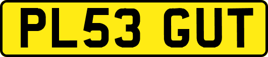 PL53GUT