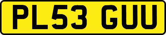PL53GUU