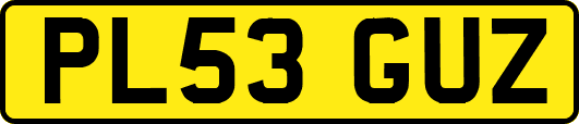 PL53GUZ