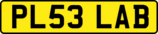 PL53LAB