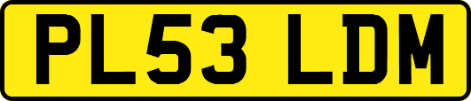 PL53LDM