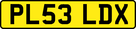 PL53LDX