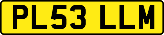 PL53LLM