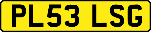 PL53LSG