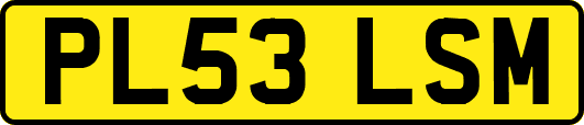 PL53LSM