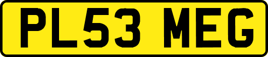 PL53MEG