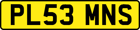 PL53MNS