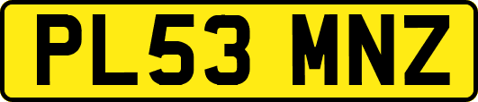 PL53MNZ