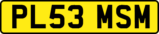 PL53MSM
