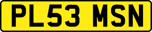 PL53MSN