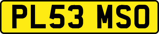 PL53MSO