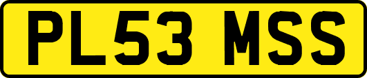 PL53MSS