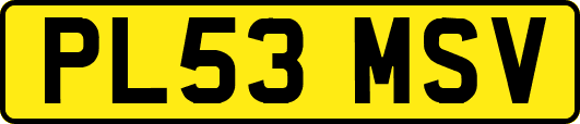 PL53MSV