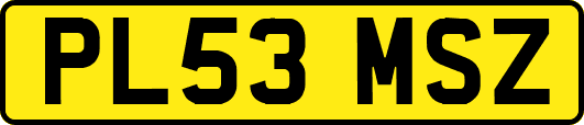 PL53MSZ