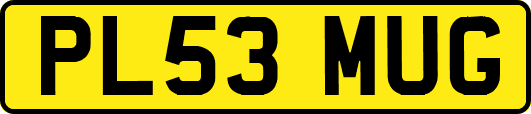 PL53MUG