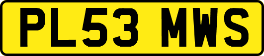 PL53MWS