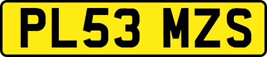 PL53MZS