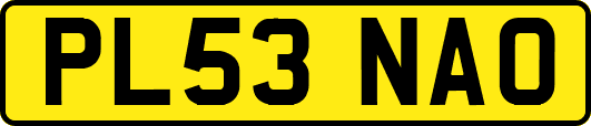 PL53NAO