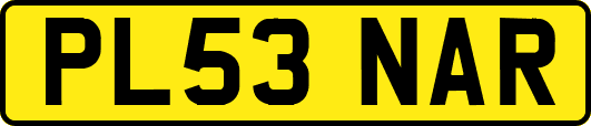 PL53NAR