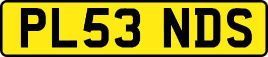 PL53NDS