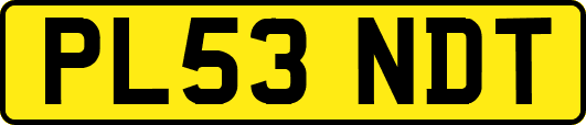 PL53NDT