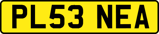 PL53NEA