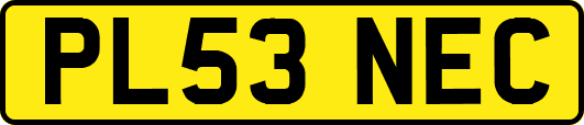 PL53NEC