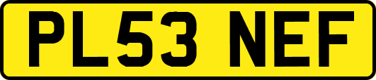 PL53NEF