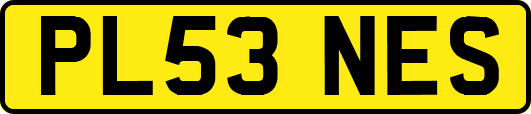 PL53NES