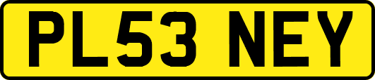 PL53NEY