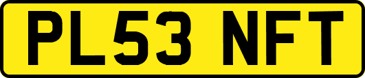 PL53NFT