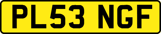 PL53NGF