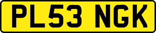 PL53NGK