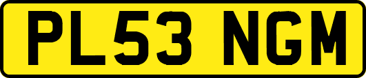 PL53NGM