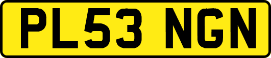 PL53NGN