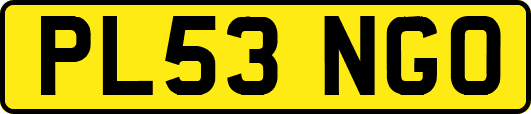 PL53NGO