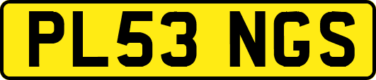 PL53NGS