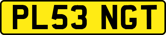 PL53NGT