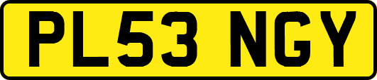 PL53NGY