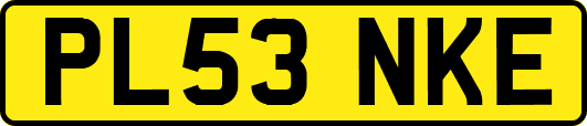 PL53NKE