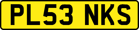 PL53NKS