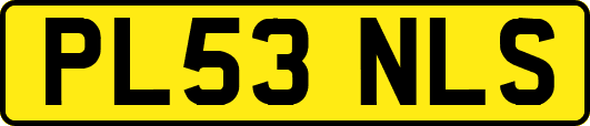 PL53NLS