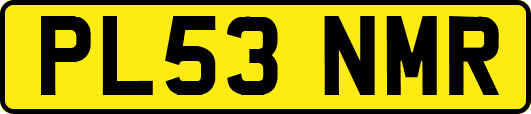 PL53NMR