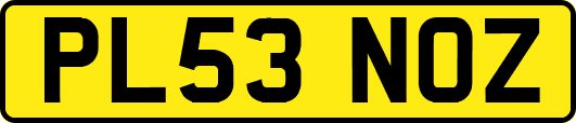 PL53NOZ