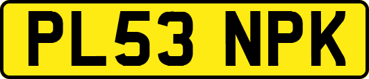 PL53NPK