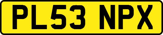 PL53NPX
