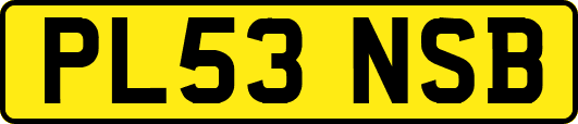 PL53NSB
